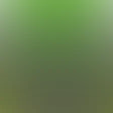 blurhash of the original image