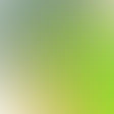 blurhash of the original image