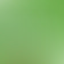 blurhash of the original image