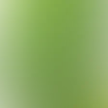 blurhash of the original image