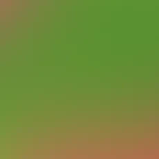 blurhash of the original image