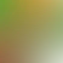 blurhash of the original image