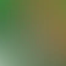 blurhash of the original image