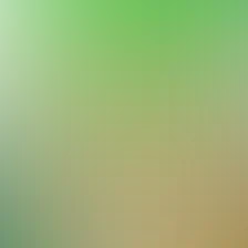 blurhash of the original image