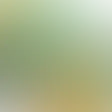 blurhash of the original image