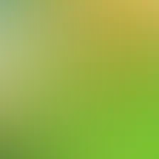 blurhash of the original image