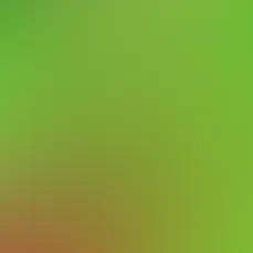 blurhash of the original image