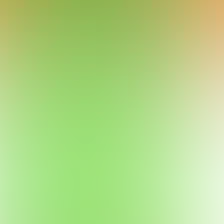 blurhash of the original image