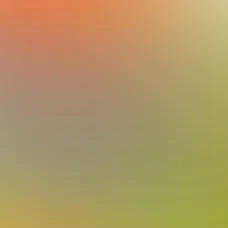 blurhash of the original image