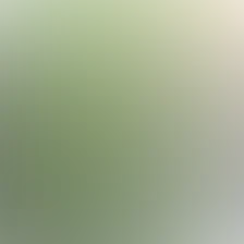 blurhash of the original image