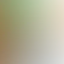 blurhash of the original image