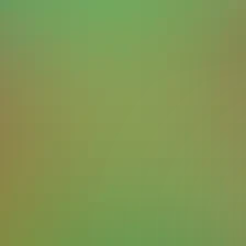 blurhash of the original image