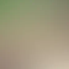 blurhash of the original image