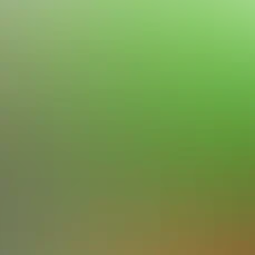 blurhash of the original image