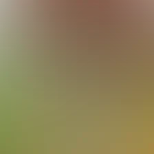 blurhash of the original image