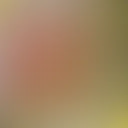 blurhash of the original image