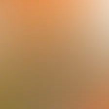 blurhash of the original image