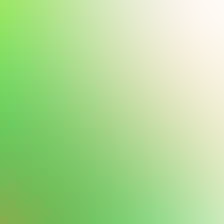 blurhash of the original image