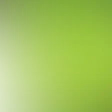 blurhash of the original image