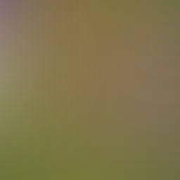 blurhash of the original image