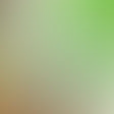 blurhash of the original image