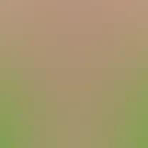 blurhash of the original image