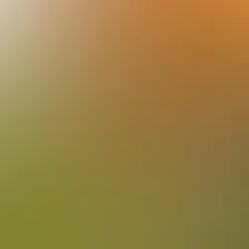 blurhash of the original image