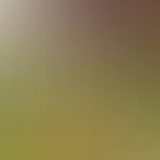 blurhash of the original image