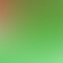 blurhash of the original image