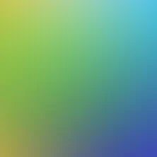 blurhash of the original image