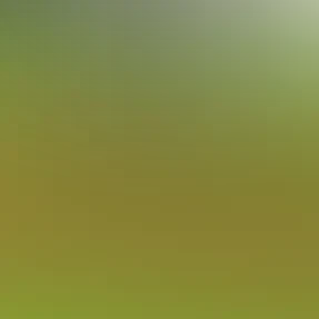 blurhash of the original image
