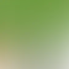 blurhash of the original image