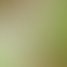 blurhash of the original image