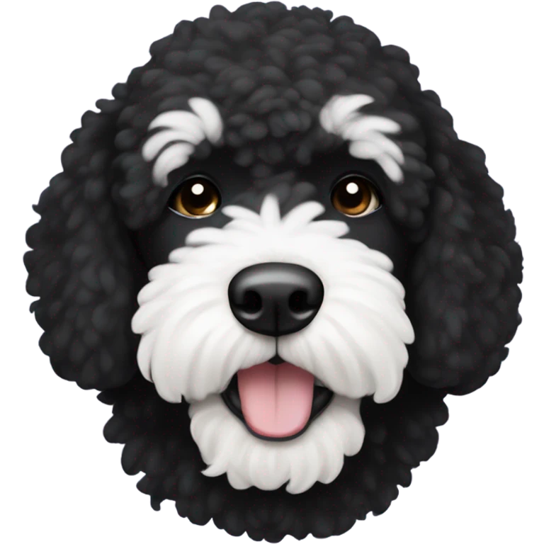 Black bernadoodle with white around mouth and big white eyebrows  emoji