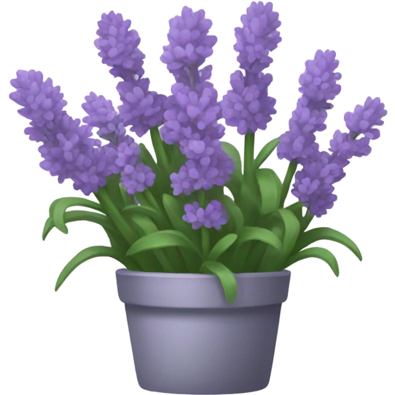 Lavender  emoji