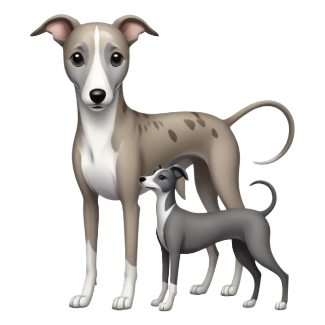 Grey and white brindle greyhound with black and white greyhound sticker