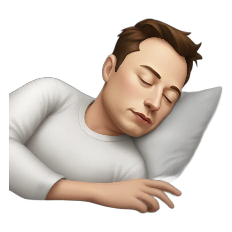 elon musk sleep sticker