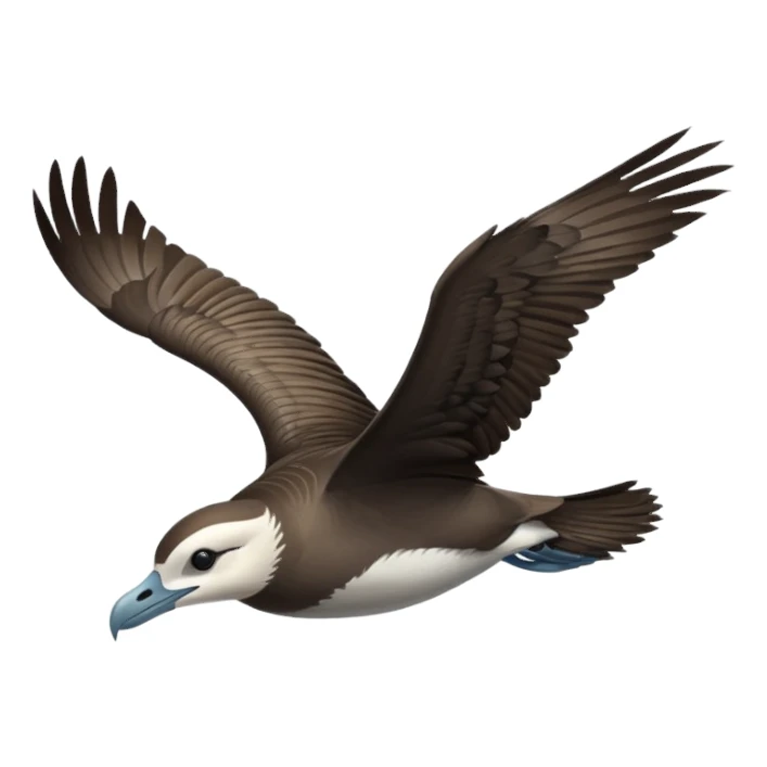 shearwater sticker
