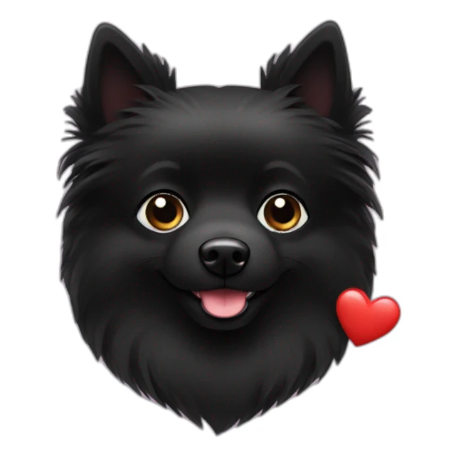 Little black spitz with heart sticker