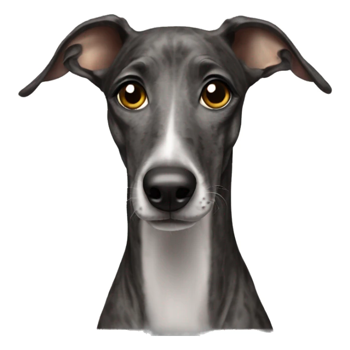 Galgo with brindle hair  sticker