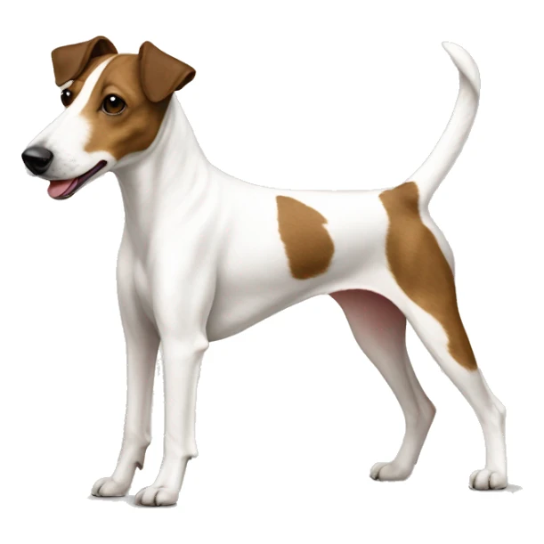 Old Smooth Fox Terrier white brown on back sticker