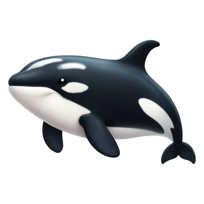 cute killer whale sticker