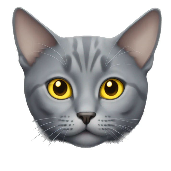 gray cat with yellow eyes british sticker