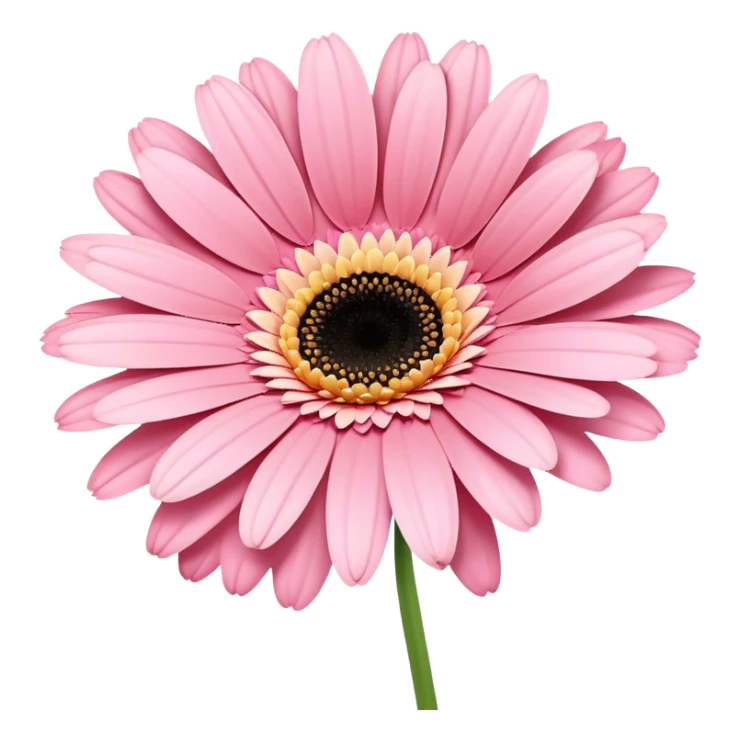 single Soft Pink Gerbera Daisy, straight stem sticker