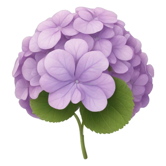 hortensia sticker