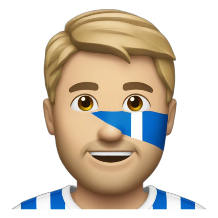 Brighton Hove Albion  sticker