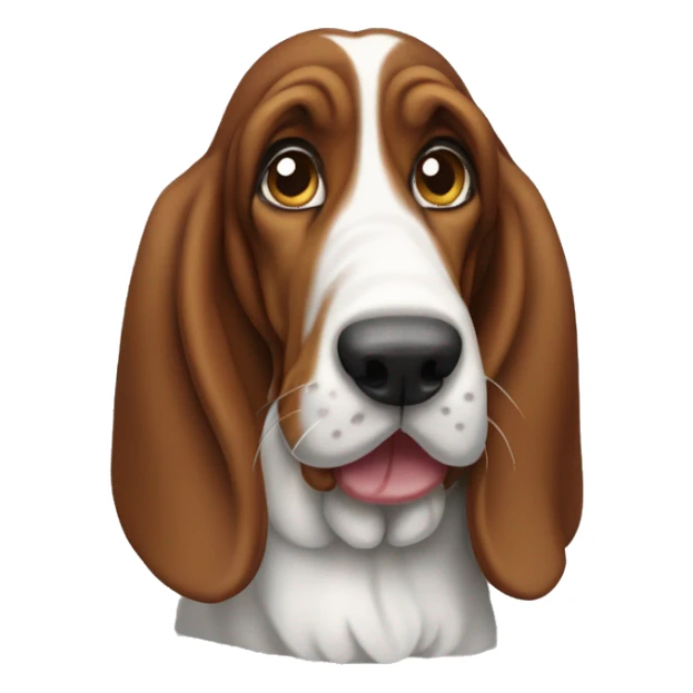 Basset hound  sticker