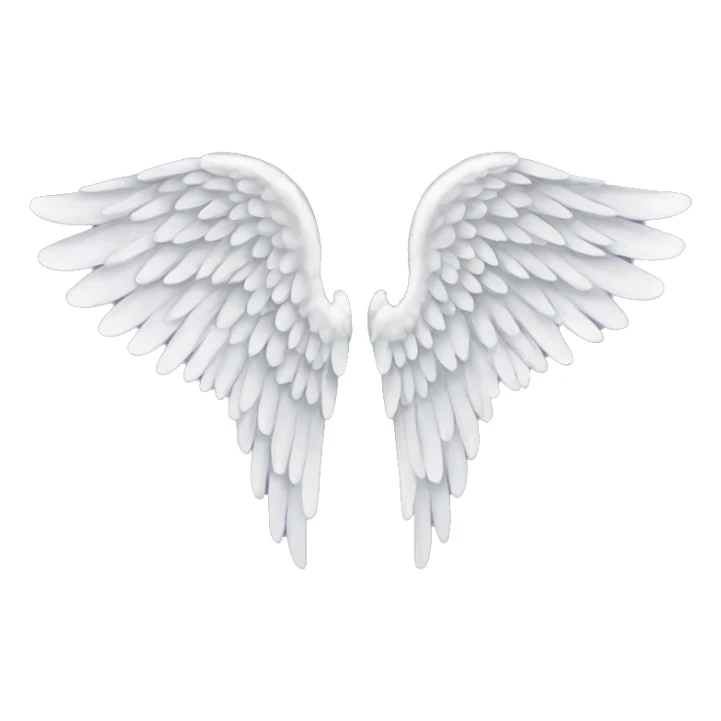 Angel wing sticker