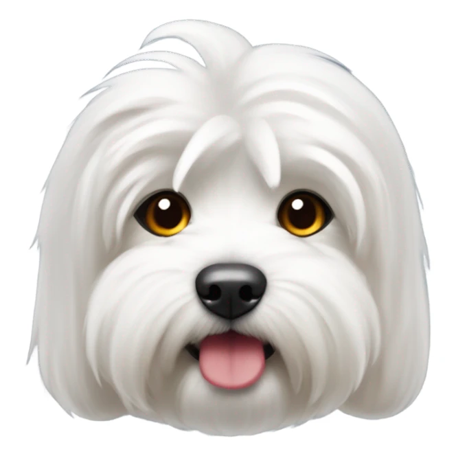 coton de tulear com lacinho vermelho sticker