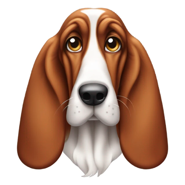 Red and white basset hound side eye sticker